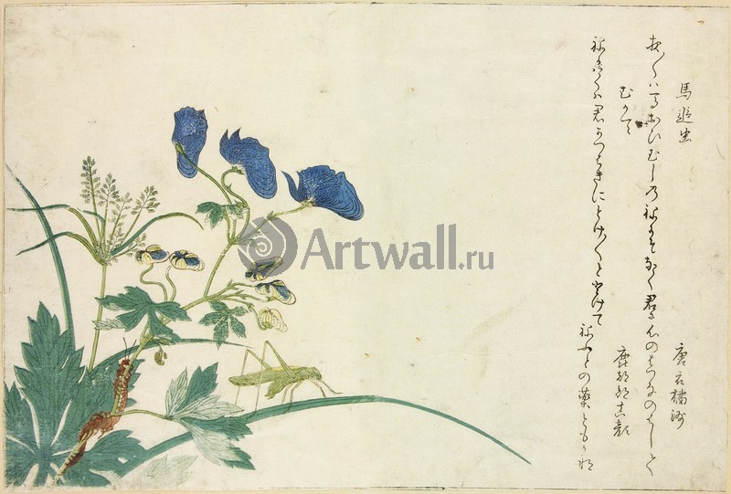 Японская гравюра Растения, птицы и животные, 